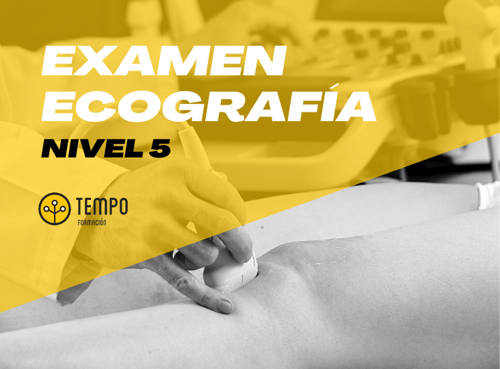 examen-5-ecografia-tempo-formacion